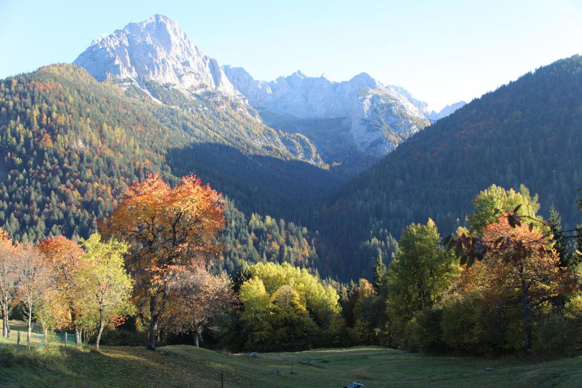 Villa Alpina Campiglio 마돈나 디 캄필리오 외부 사진