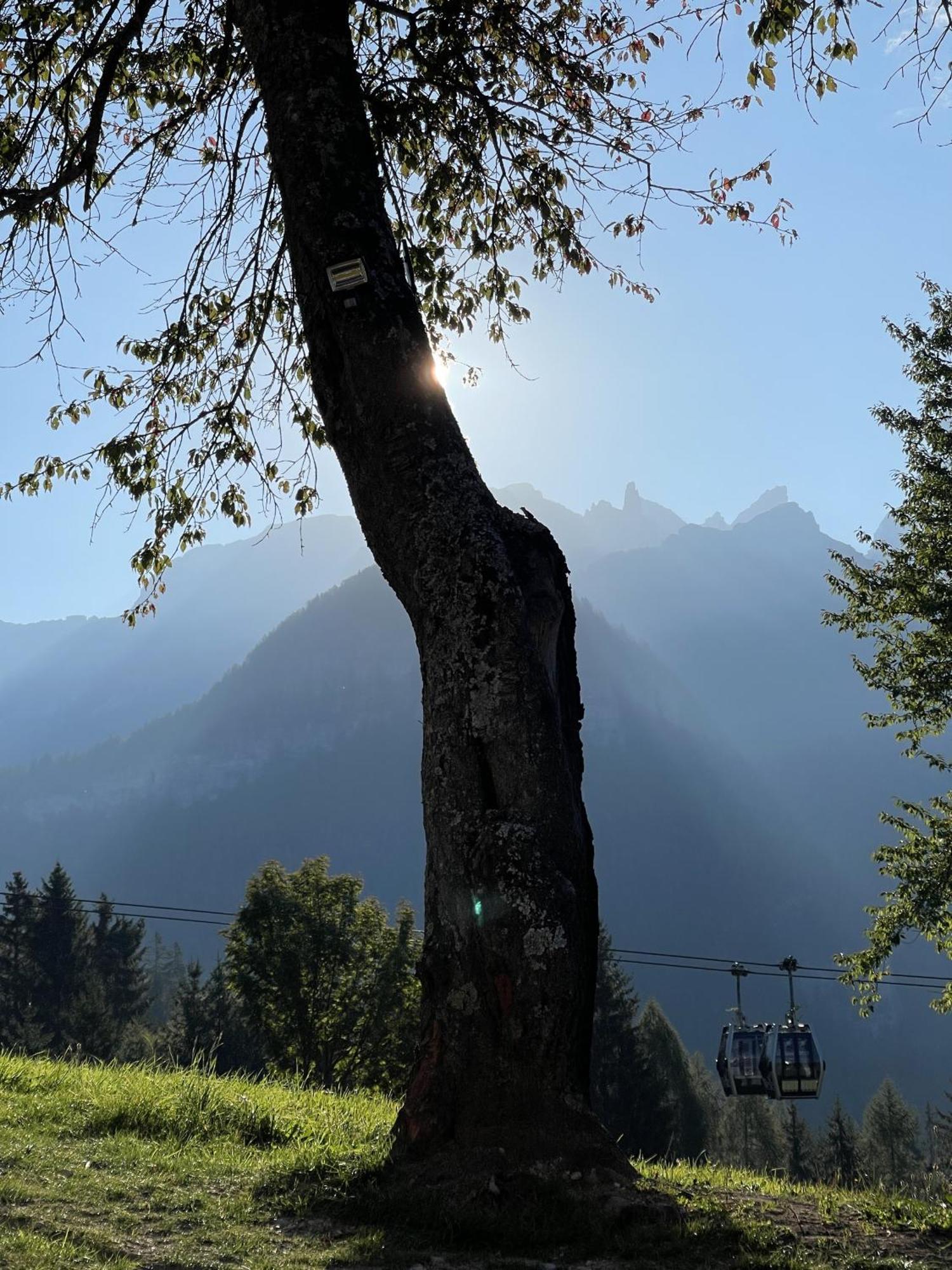 Villa Alpina Campiglio 마돈나 디 캄필리오 외부 사진