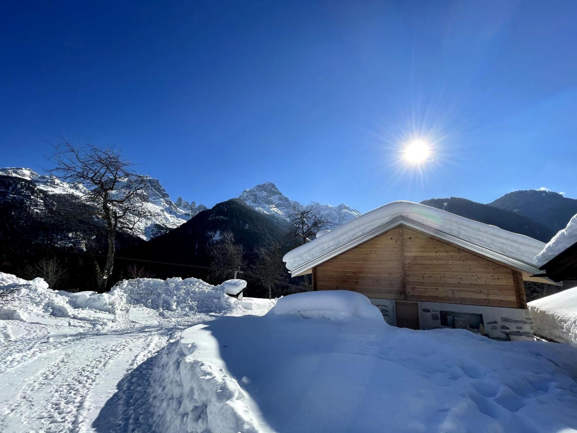 Villa Alpina Campiglio 마돈나 디 캄필리오 외부 사진