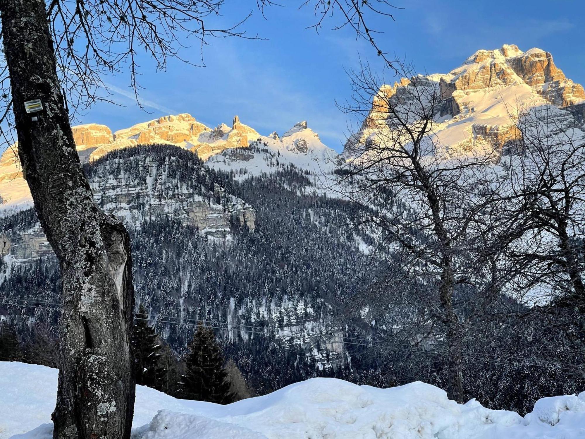 Villa Alpina Campiglio 마돈나 디 캄필리오 외부 사진