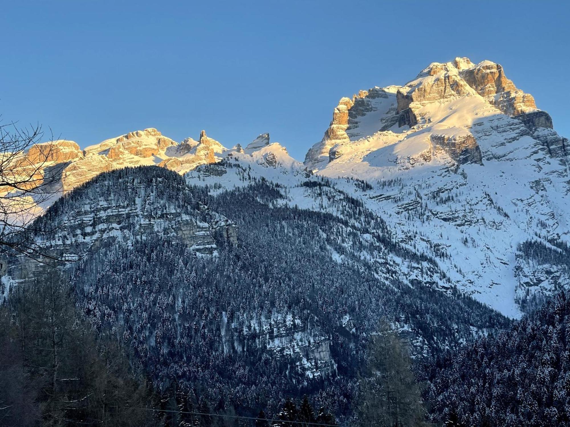 Villa Alpina Campiglio 마돈나 디 캄필리오 외부 사진