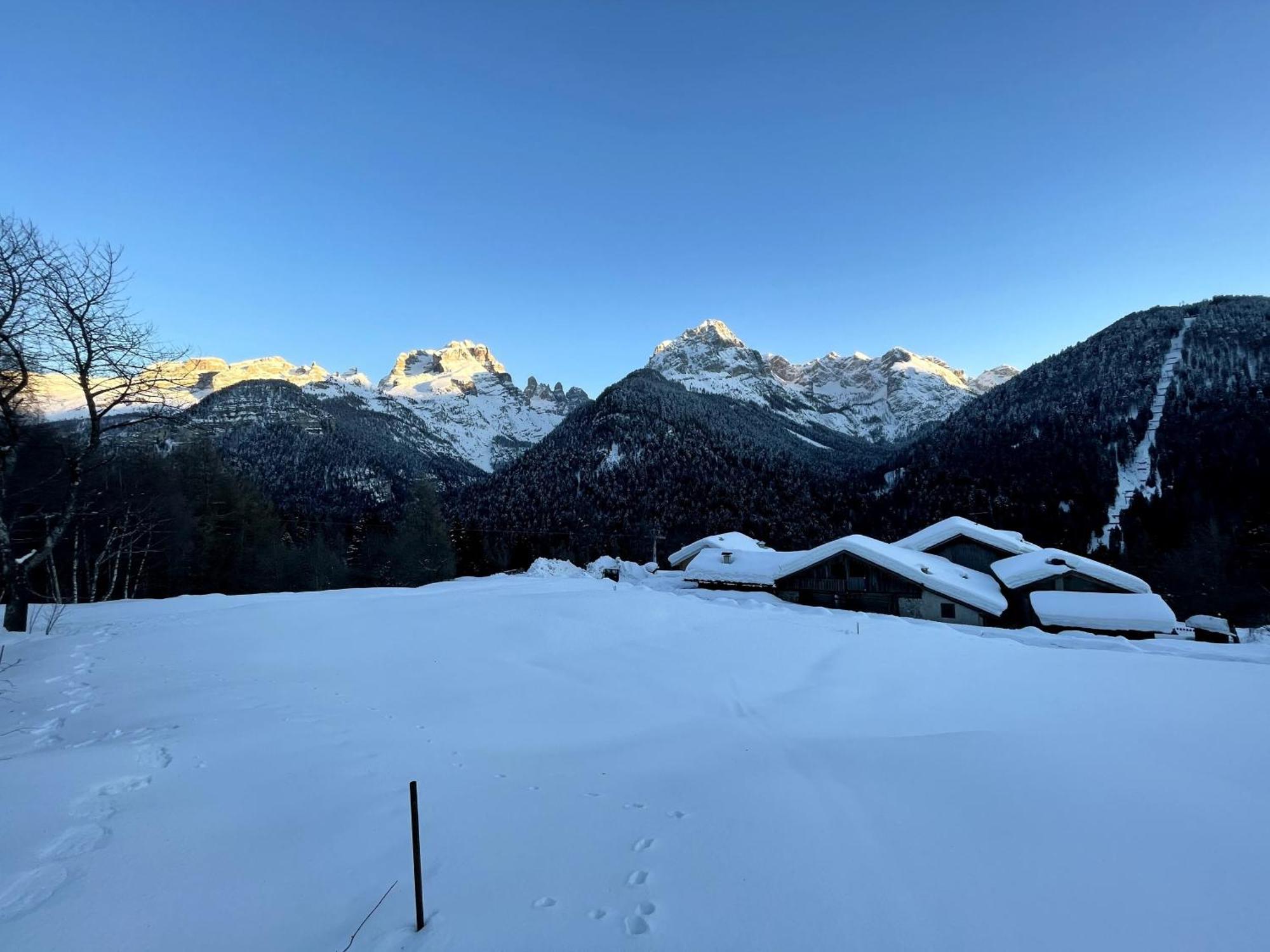 Villa Alpina Campiglio 마돈나 디 캄필리오 외부 사진