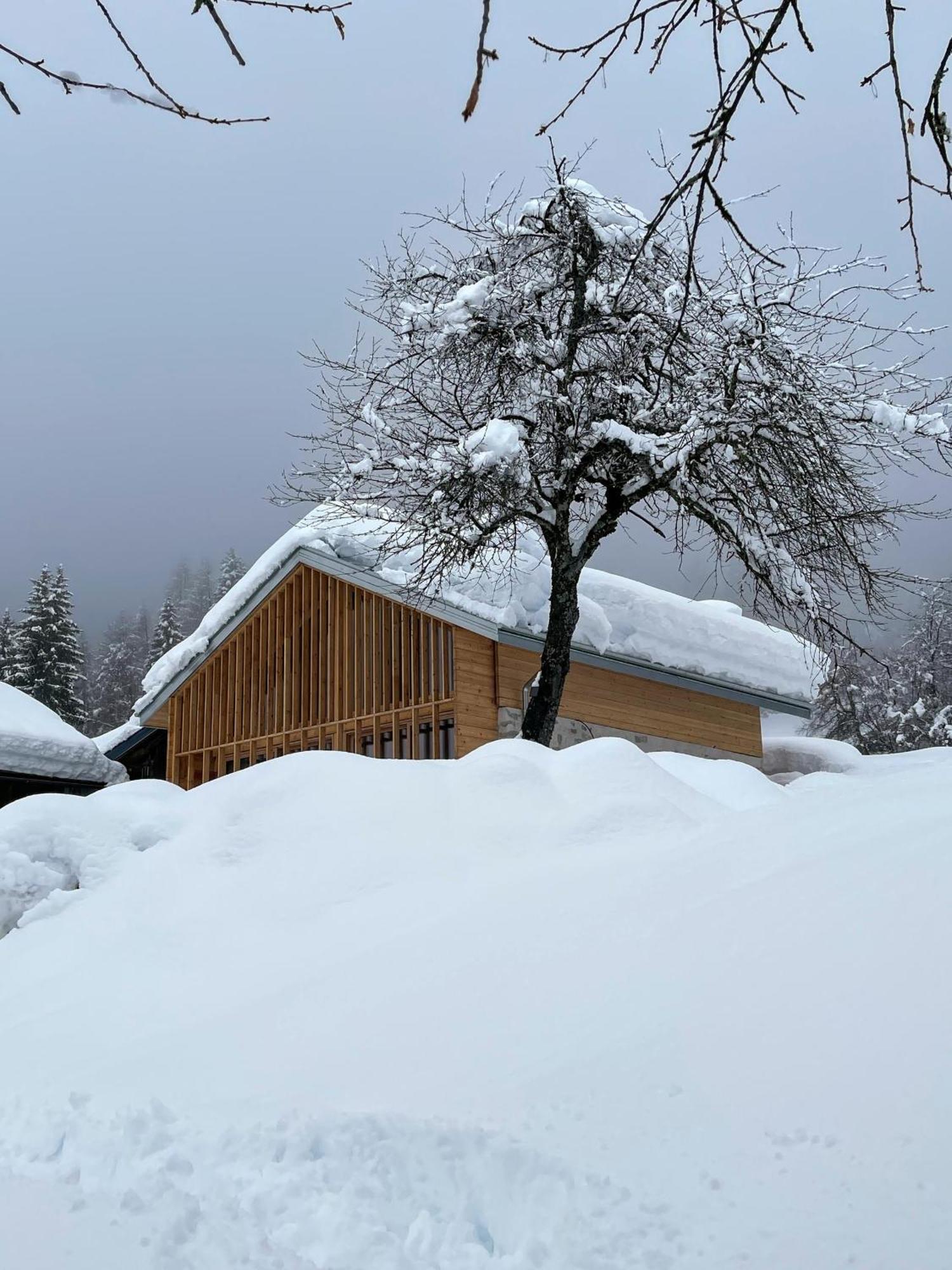 Villa Alpina Campiglio 마돈나 디 캄필리오 외부 사진