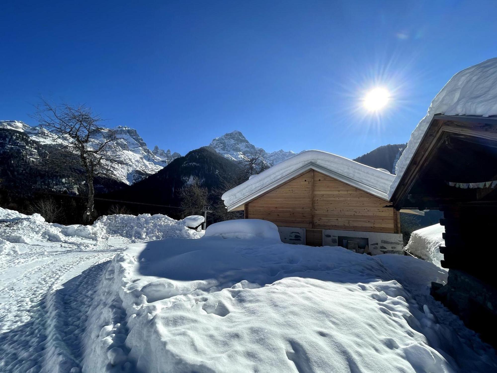 Villa Alpina Campiglio 마돈나 디 캄필리오 외부 사진